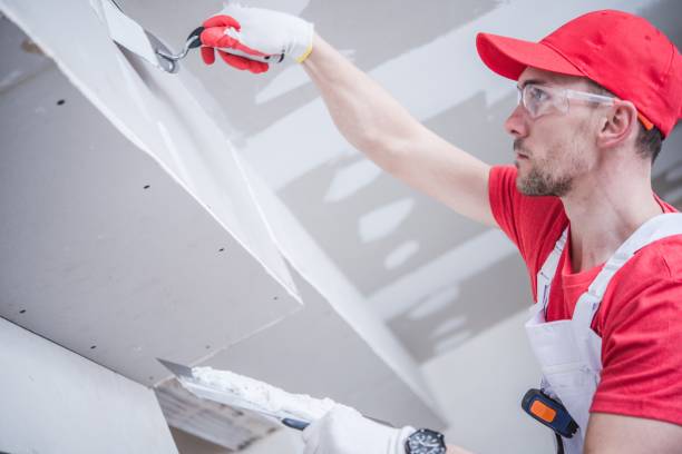 Best Post-Construction Mold Inspection  in Centre Grove, NJ